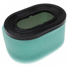 Filtro per Briggs & Stratton 12U802 / 12W802 / 12W807