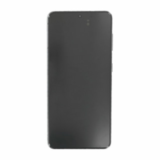 Vetro e schermo LCD per Samsung Galaxy S21 5G / SM-G991, originale, grigio