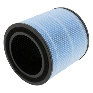 Filtro per Philips Airtok AP0601